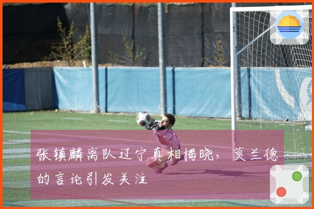张镇麟离队辽宁真相揭晓，莫兰德的言论引发关注