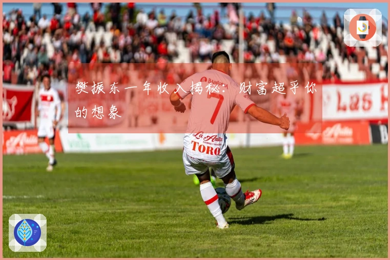 樊振东一年收入揭秘：财富超乎你的想象
