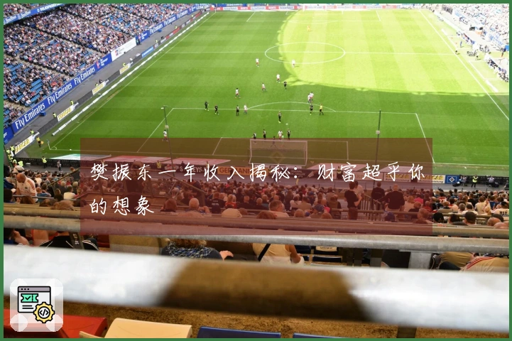 樊振东一年收入揭秘：财富超乎你的想象