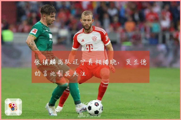 张镇麟离队辽宁真相揭晓，莫兰德的言论引发关注