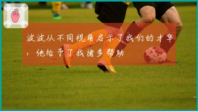 波波从不同视角启示了我们的才华，他给予了我诸多帮助